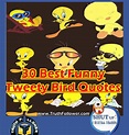 30 Best Funny Tweety Bird Quotes