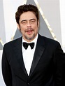Benicio Del Toro Picture 80 - 88th Annual Academy Awards - Red Carpet ...