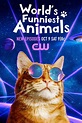 World's Funniest Animals (Elizabeth Stanton, The Cw) TV Show Poster ...