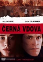 Before It Had a Name (2005) Czech movie poster