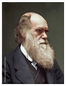 Charles Darwin | Photo restoration, Robert darwin, Charles darwin