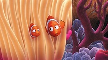 Finding Nemo Gallery | Disney Movies | Indonesia