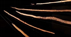 The Schöningen Spears: The Oldest Weapons in Human History (Video ...