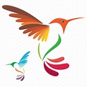 Vector image of an hummingbird | Icons ~ Creative Market