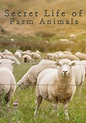 Secret Life of Farm Animals - streaming online