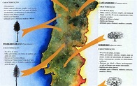 Ser Geógrafo: Vegetação em Portugal