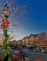 Glen Ellyn Christmas Downtown | Glen ellyn illinois, Favorite places ...