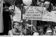 Homosexuelle und die Bundesrepublik Deutschland. Gleichberechtigte ...