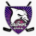File:Logo Dauphins d'Epinal 2009.jpg - International Hockey Wiki