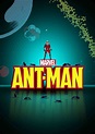 Marvel Ant-Man SHORTS - DVD PLANET STORE