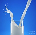 Pouring Milk Into A Glass With Splash Photograph by Leonello Calvetti ...