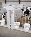 Indoor Calf Pens - Agri-Plastics