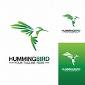 Hummingbird logo design vector template 6468176 Vector Art at Vecteezy