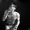 Car colections: Iggy Pop Young - Iggy Pop Photos 16 Of 431 Last Fm ...