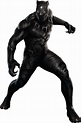 Black Panther (Marvel Cinematic Universe) | VS Battles Wiki | FANDOM ...