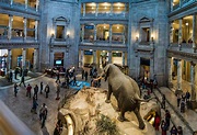 Museo Nacional de Historia Natural - TurismoEEUU