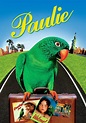Paulie, el loro bocazas - película: Ver online