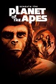 Ver Regreso al planeta de los simios (1970) Online - Pelisplus
