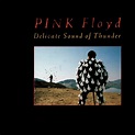 Eclipse del alma: Pink Floyd "The delicate sound of thunder" (1988)