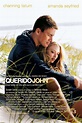 Ver Querido John (2010) Online - Pelisplus