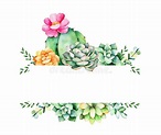 Download Colorful Floral Frame With Leaves,succulent Plant,branches And ...