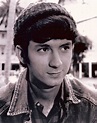 michael nesmith headshot (2) | The Monkees Home Page