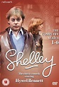 Возвращение Шелли (1988–1992) — описание и содержание серий 1 сезона