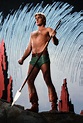 Sam J. Jones as Flash Gordon | Flash gordon, Blonde guys, Sam j jones