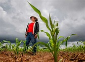 Pequeños y medianos productores, el motor del campo mexicano - 2000Agro ...