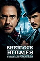 Sherlock Holmes - Spiel im Schatten (2011) — The Movie Database (TMDB)