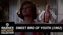 Clip HD | Sweet Bird of Youth | Warner Archive - YouTube