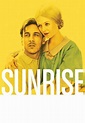 Sunrise - Movies on Google Play