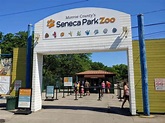 Your Complete Guide to the Seneca Park Zoo in Rochester, NY - Finger ...
