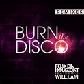 Burn The Disco (remixes) by Felix Da Housecat Feat Will I Am on MP3 ...