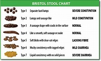 Bristol stool scale - Wikipedia