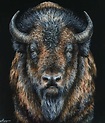 Pin by Marce Garcia Olano on Animales | Bison art, Buffalo animal ...