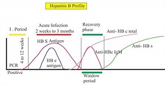 Hepatitis B Virus – Part 4 – Anti-HBS Antibody (ELISA), HBV – Labpedia.net