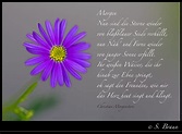 Gedicht zum Morgen | Gedicht von Christian Morgenstern, mit … | Flickr