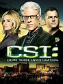 CSI: Crime Scene Investigation: Season 13 Pictures - Rotten Tomatoes
