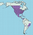 Rocky Mountain spotted fever - The Lancet Infectious Diseases