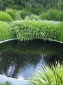 Black pond dye: Pond Black creates a stunning reflection on garden ponds