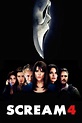 Ver Scream 4 (2011) Online Latino HD - Pelisplus