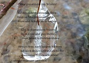 Morgensonne im Winter - ein Gedicht von Christian Morgenstern ...