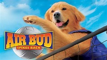 Air Bud 5 - Spikes Back (2003) Gratis Films Kijken Met Ondertiteling ...