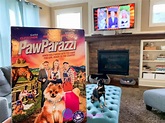 PawParazzi Review and Giveaway - Enza's Bargains