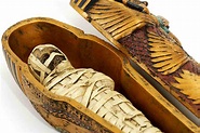 ¿Cómo se hacía la momificación en el Antiguo Egipto? | Explora | Univision