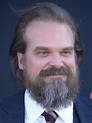 David Harbour : Filmographie - AlloCiné