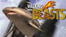 Walking With Beasts [2001] - Physogaleus Screen Time - YouTube