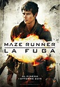 Maze Runner - La Fuga - Cinema - Gamesurf.it