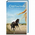 Auf der Suche nach Morgen Ostwind Bd.4 Buch versandkostenfrei - Weltbild.de